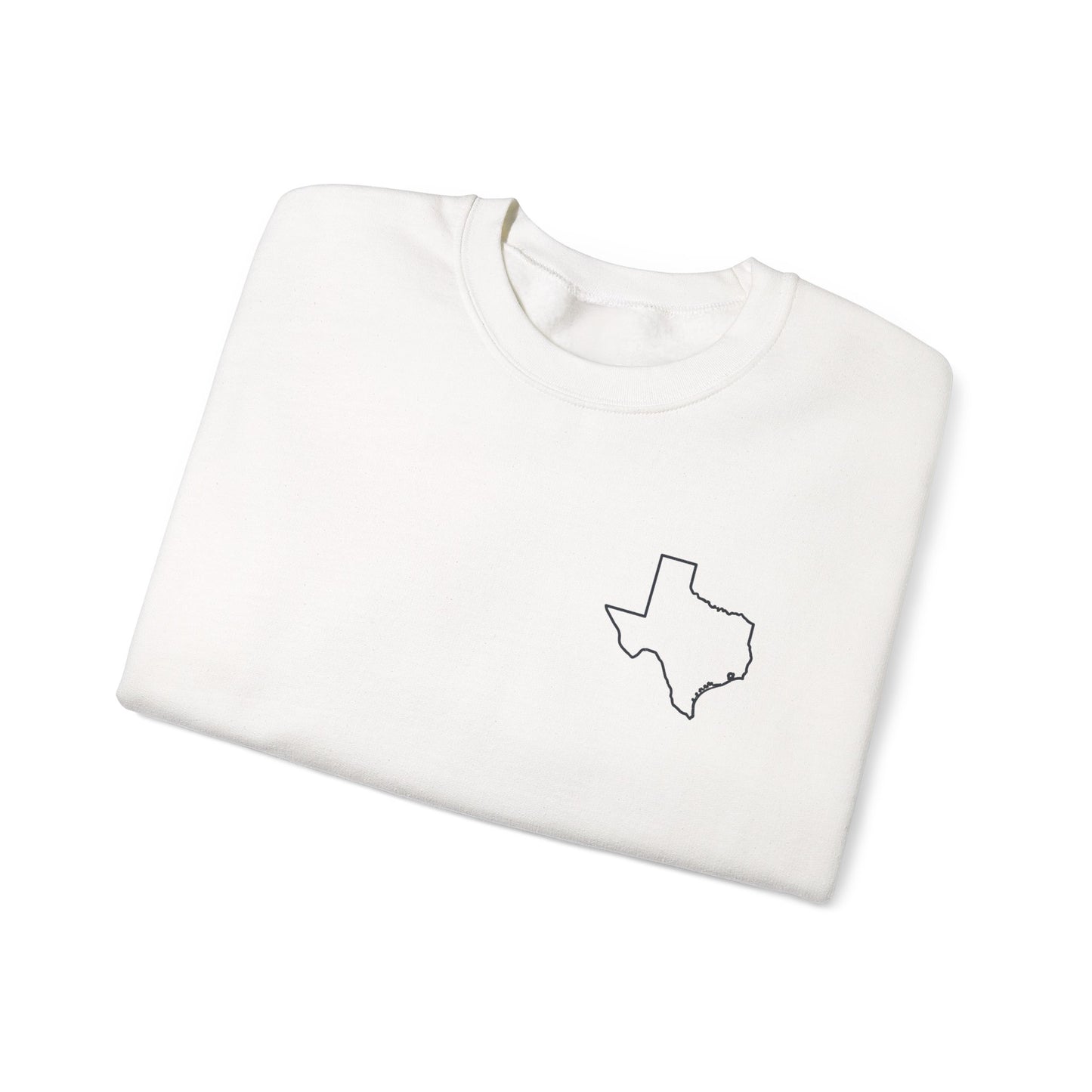 Texas Flag Crewneck Sweatshirt — Vintage Lone Star Pullover